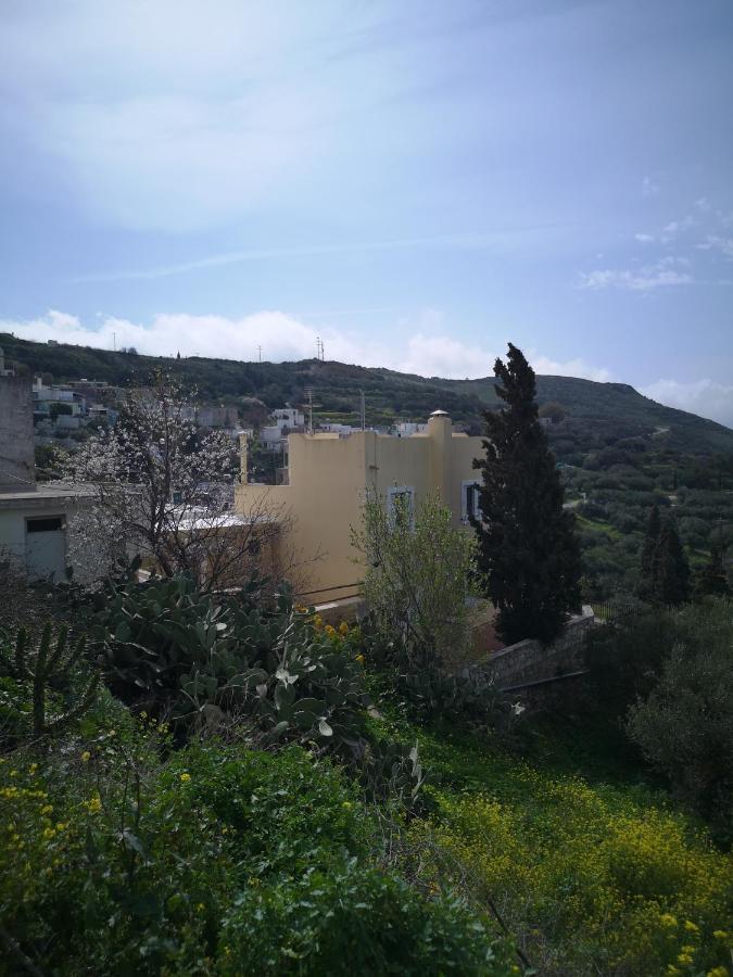 Casa Opuntia Villa Pappaygiannades Kültér fotó